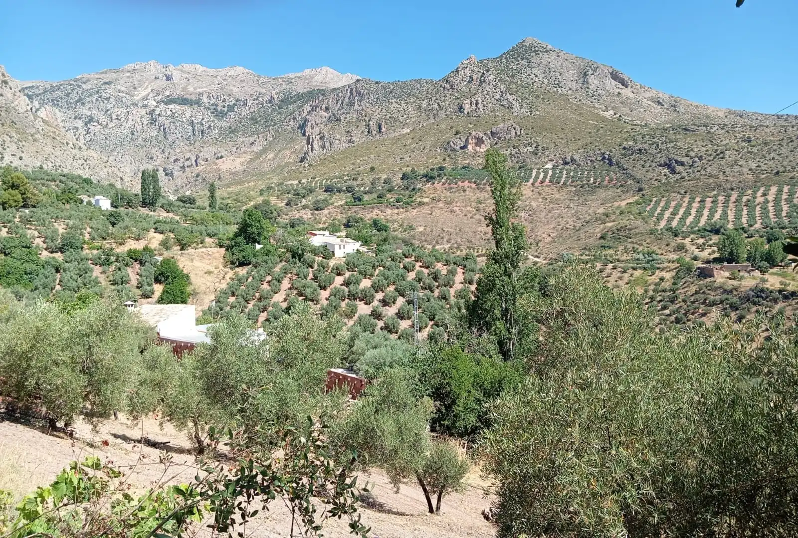 Xalet amb piscina en venda a Sierra Mágina, imagen 34
