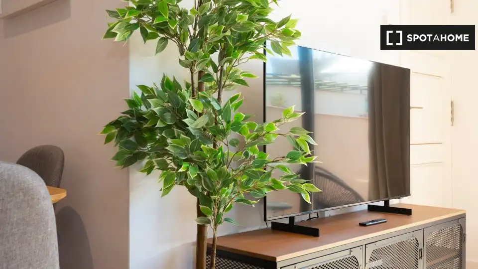 Flat with terrace to rent in Ciutat Vella, imagen 6