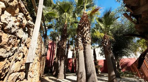 Photo 4 of House or chalet to rent in Avenida de Cuba, Montealto - Monterrey, Málaga