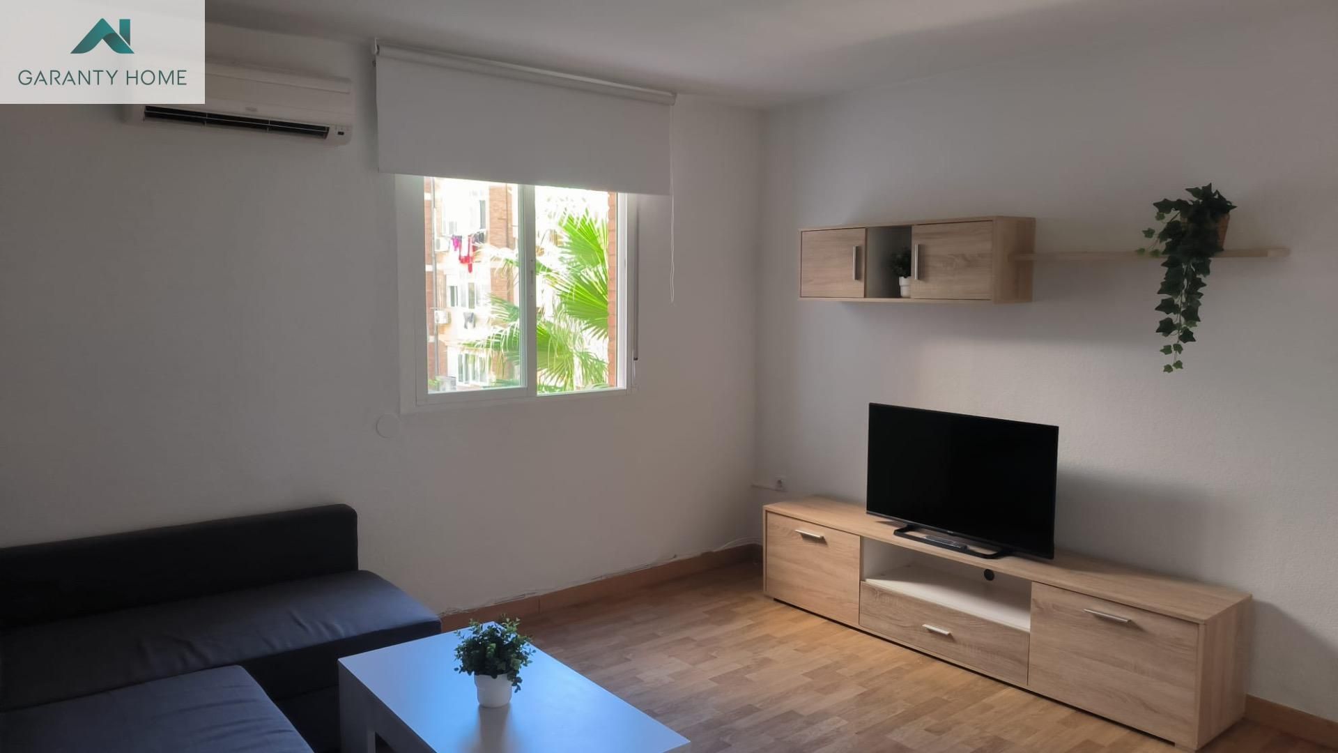 Sala de estar de Piso de alquiler en Málaga Capital con Aire acondicionado