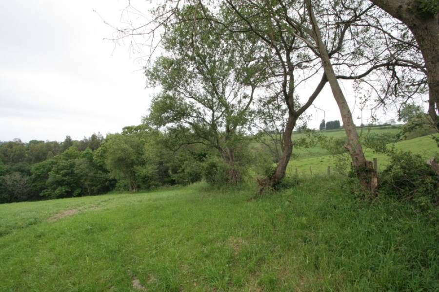 Land for sale in Valdáliga
