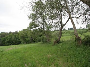 Terreno rustico in vendita a La Cardosa