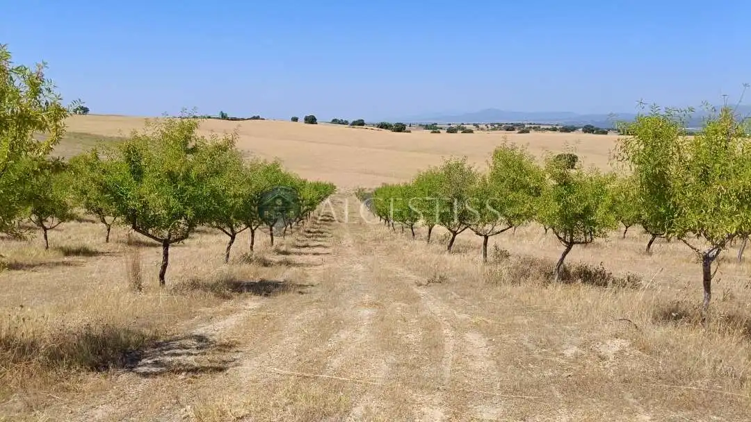 Terreni e lotti in vendita a Méntrida, imagen 15