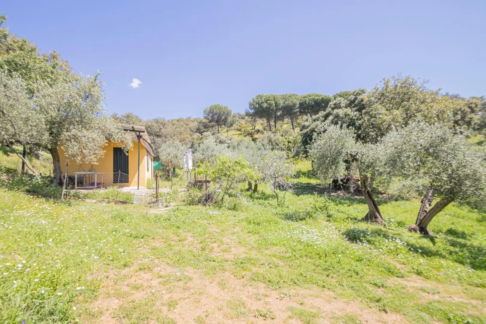 Garten von Grundstücke zum Verkauf in El Pedroso