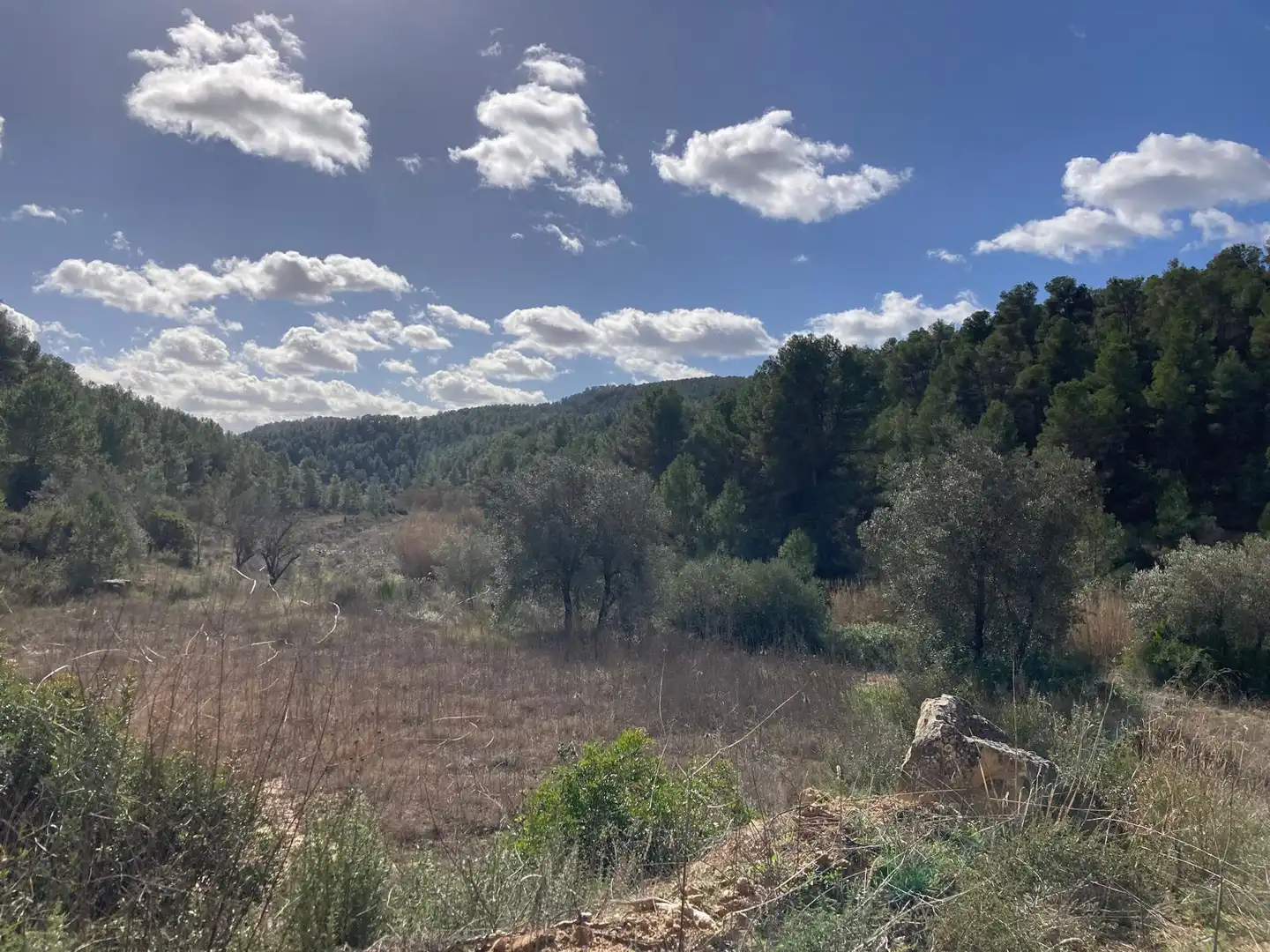 Terreni e lotti in vendita a Arens de Lledó, imagen 5