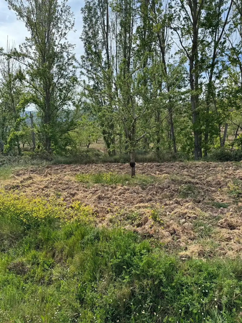Land for sale in Bergasa