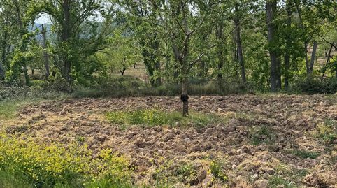 Foto 3 de Terreno en venta en Bergasa, La Rioja