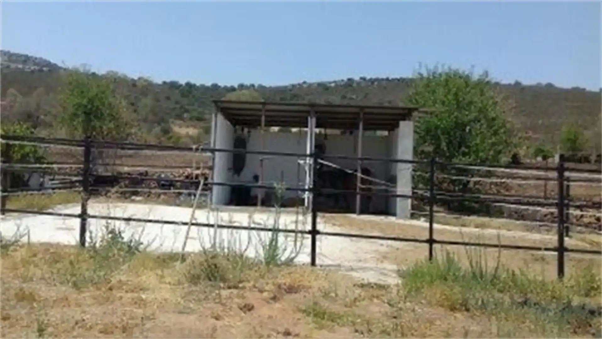 Vista exterior de Finca rústica en venda en Peñalsordo amb Aire condicionat, Piscina i Moblat