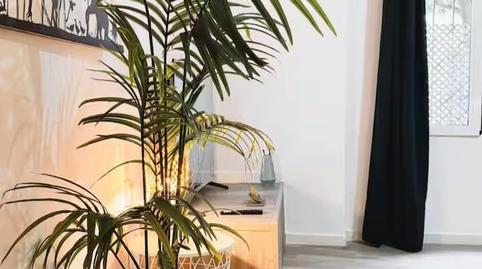 Foto 5 de Pis de lloguer a Feria, Sevilla