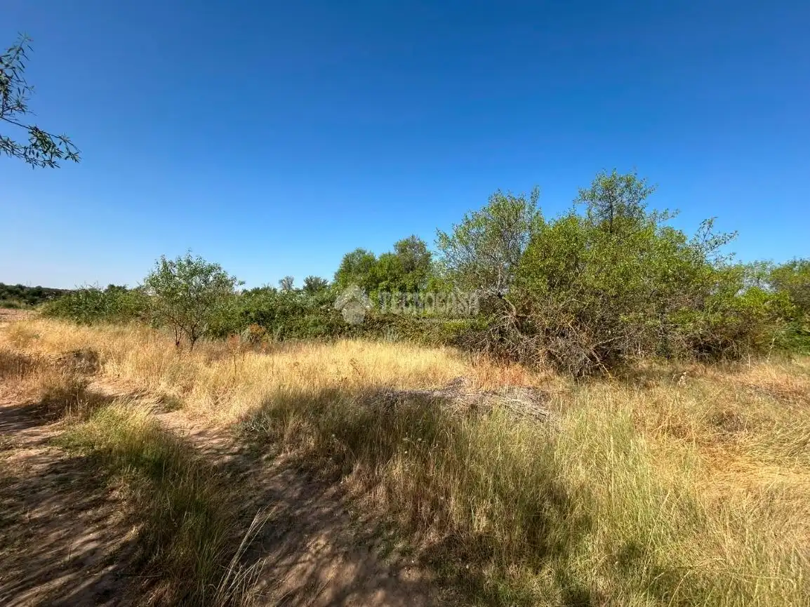 Rural land for sale in Laguna de Duero, imagen 7