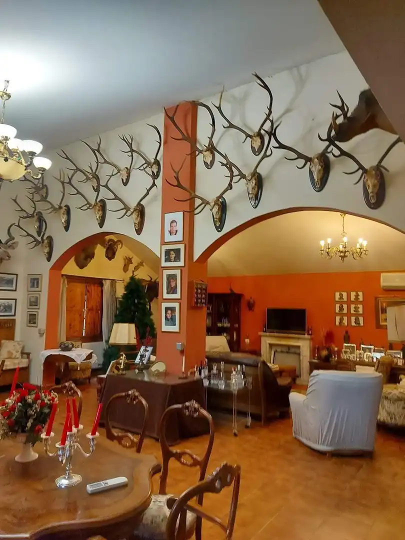 Chalet con piscina en venta en Aldea del Cano, imagen 8
