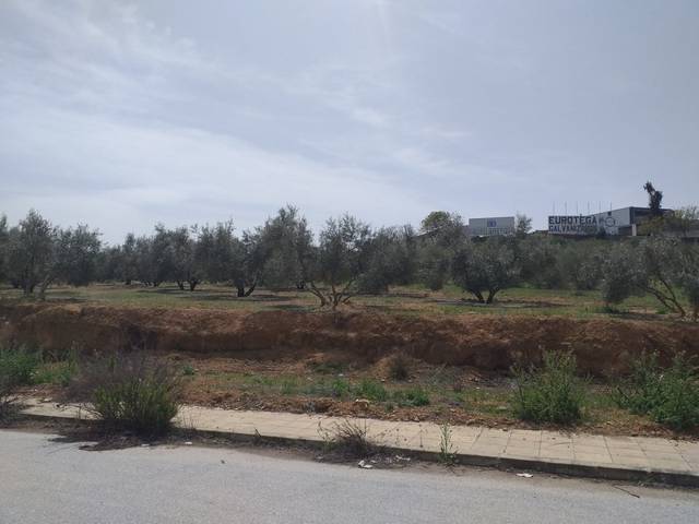 Terreno industrial en Venta en Láchar