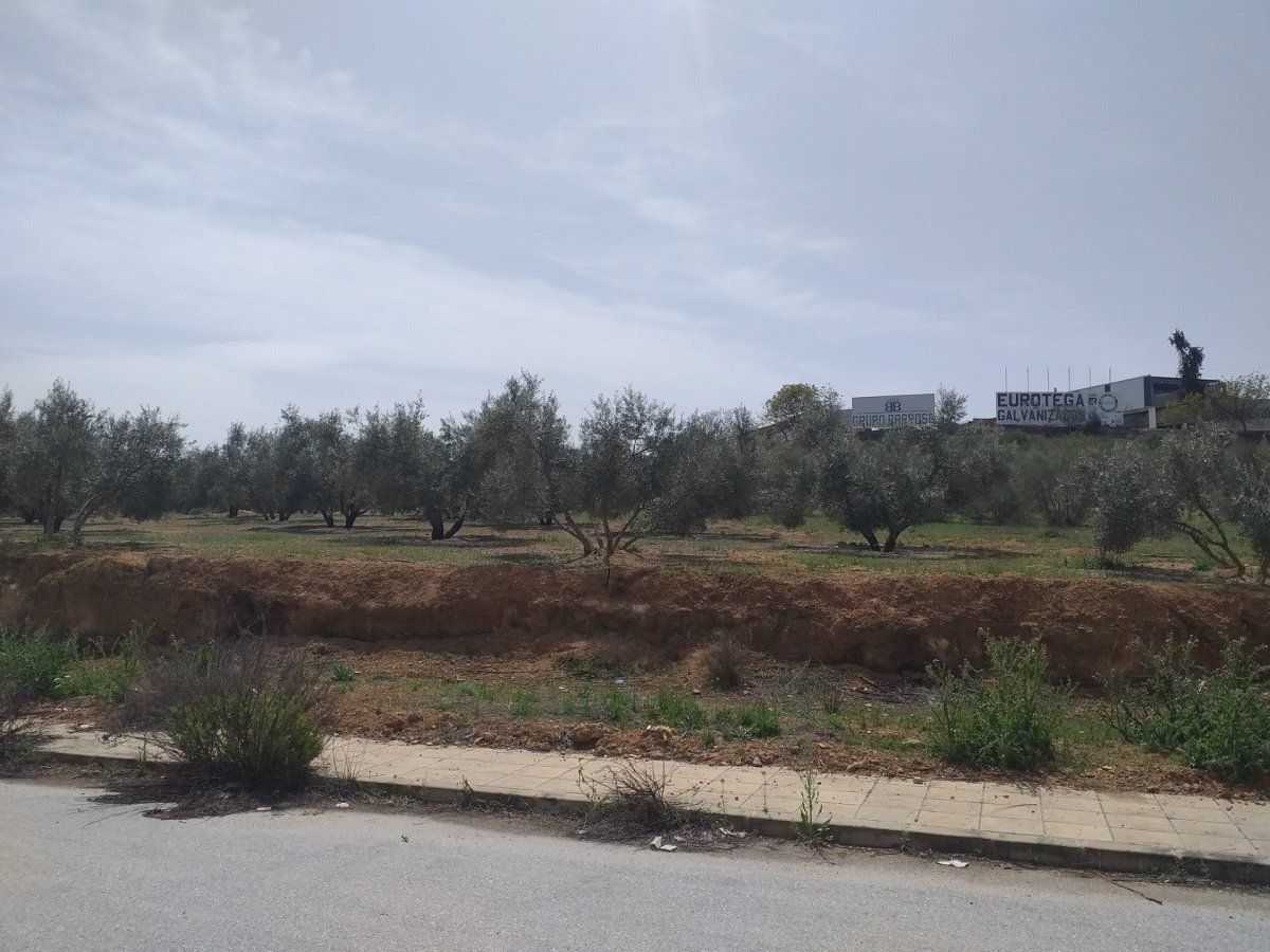 Industrial land for sale in Láchar