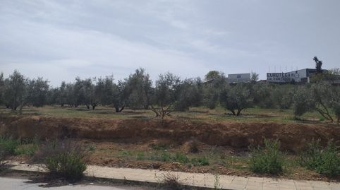 PARCELAS DE USO INDUSTRIAL  UBICADAS EN EL PP3I DE LACHAR