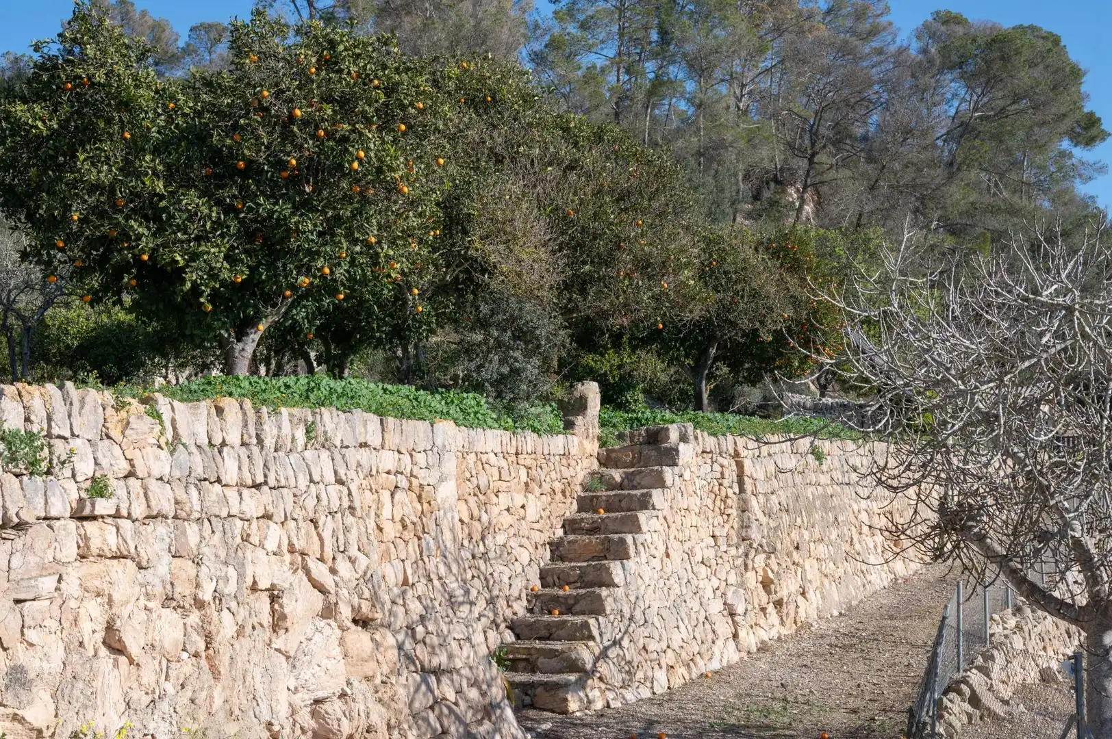 Casa rustica con giardino in vendita a Sineu, imagen 10