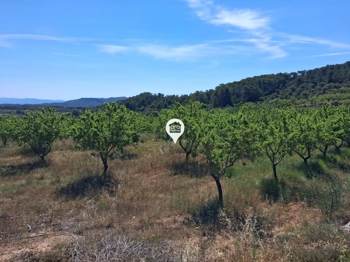 Land for sale in Madrid