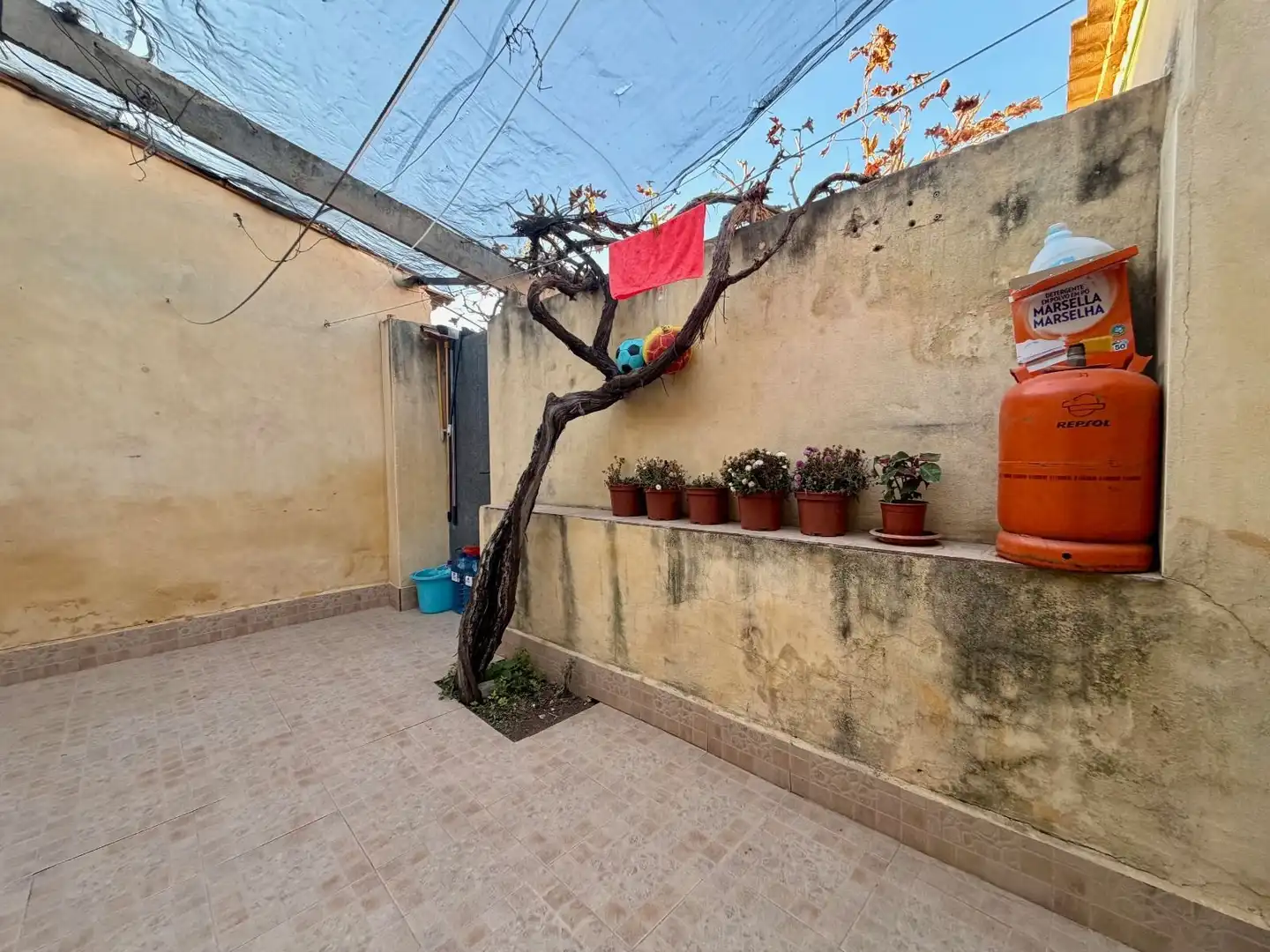 Terraza de Finca rústica en venta en Torre-Pacheco