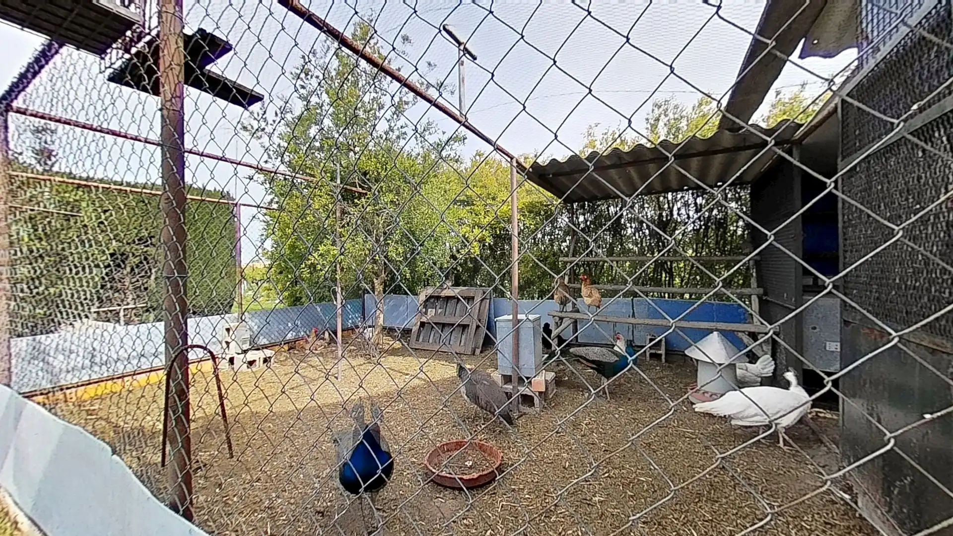 Casa amb piscina en venda a El Juncal - Vallealto, imagen 33