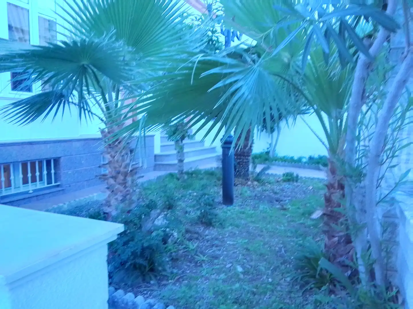Jardín de Casa o chalet en venta en Prado del Rey con Jardín privado, Terraza y Amueblado