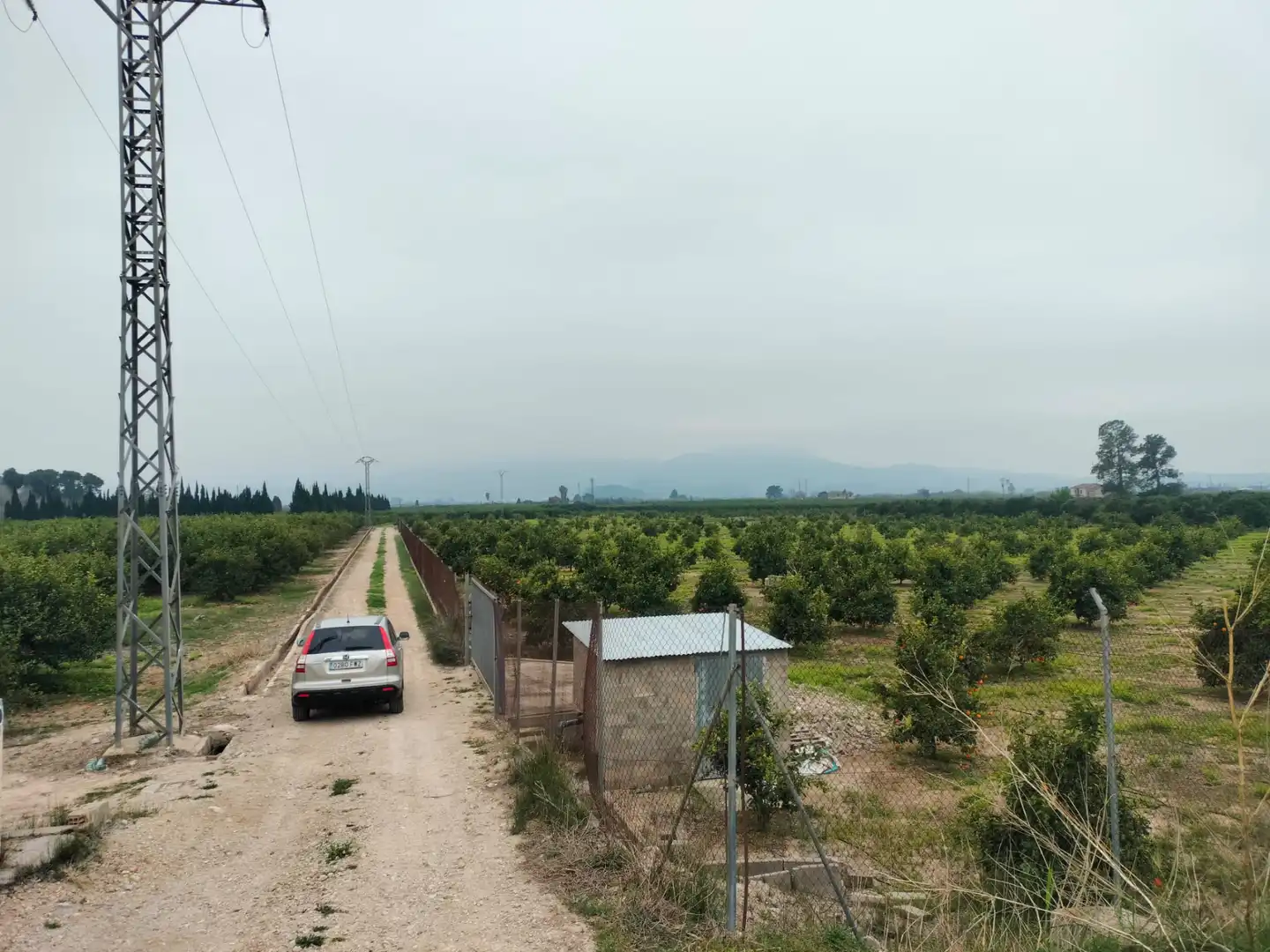 Rural land for sale in Sollana