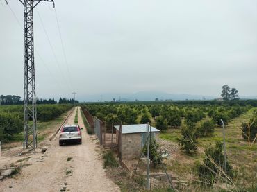 Terreno rústico en venta en Sollana