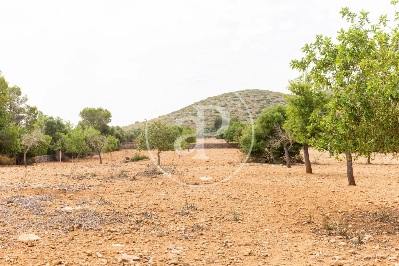 Terreno residenziale in vendita a Cami de.'s Presos, imagen 21