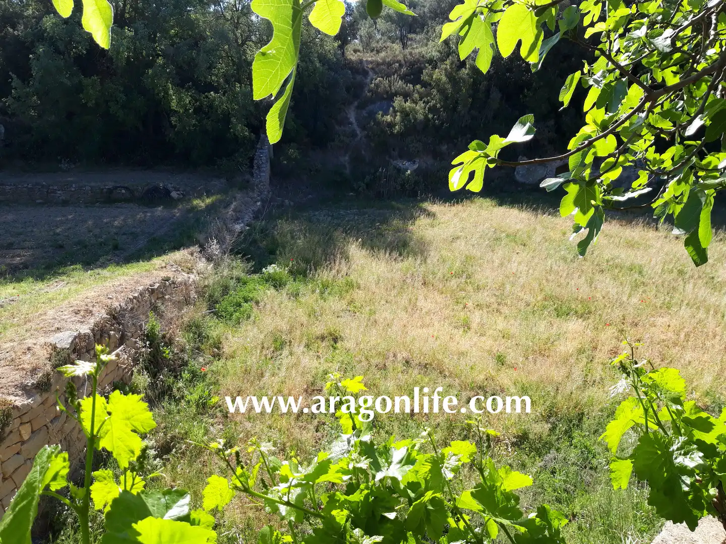 Finca rústica en venta en Calaceite