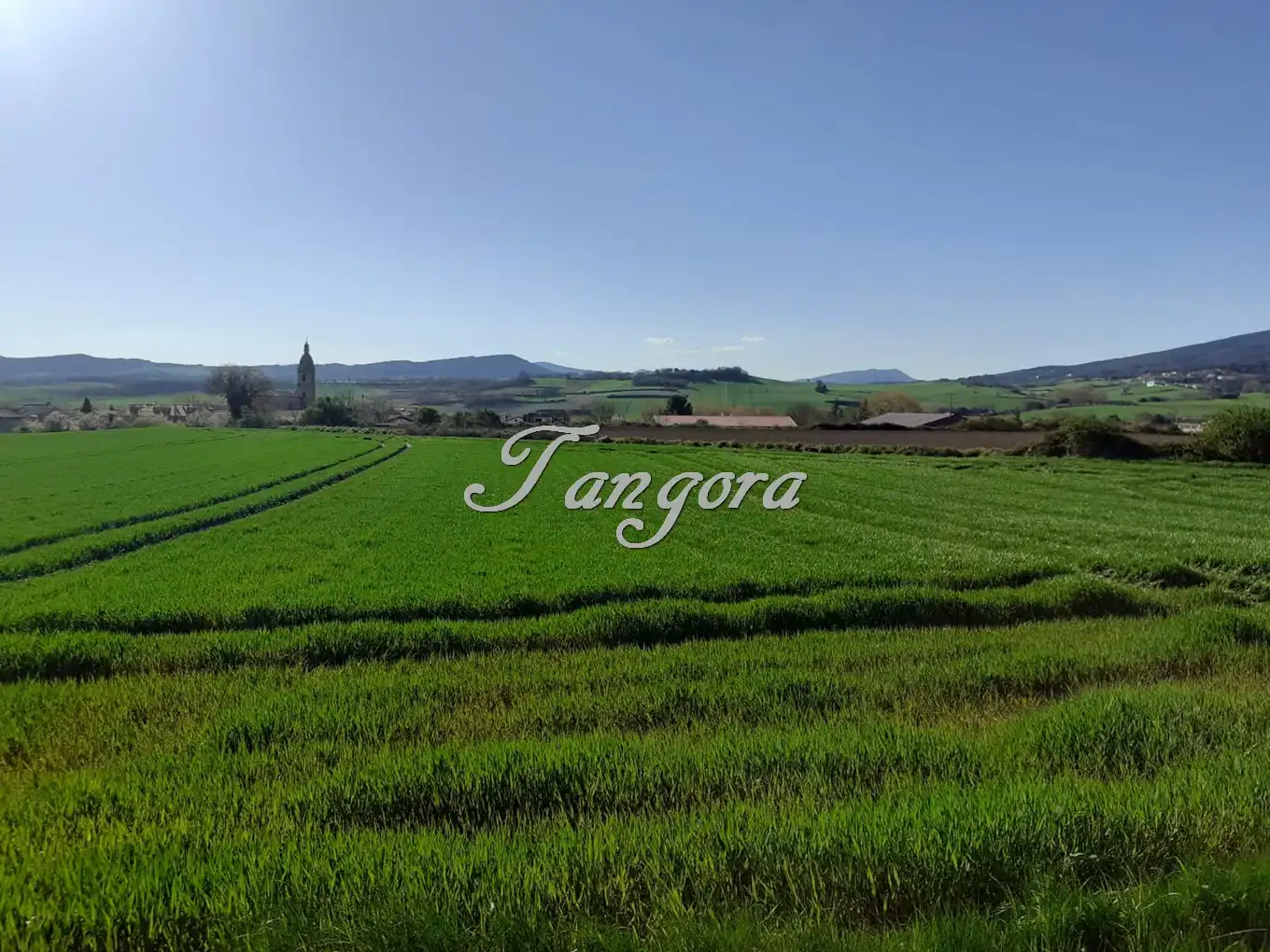 Industrial land for sale in La Puebla de Arganzón 