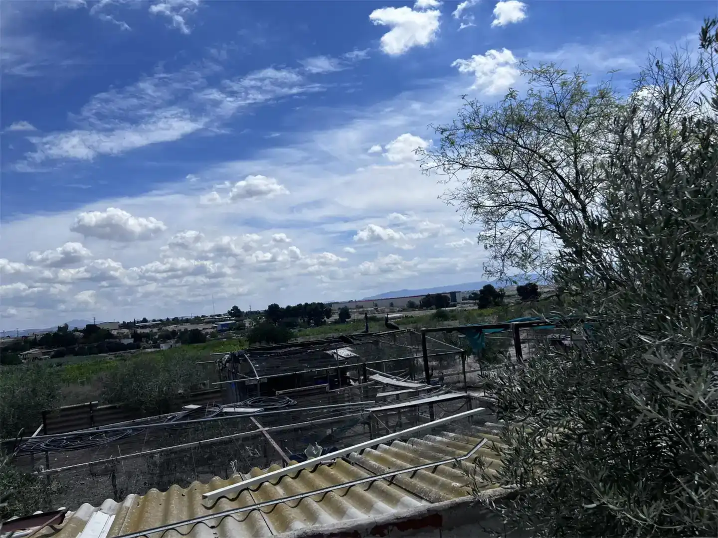 Finca rústica en venda en Las Torres de Cotillas, Murcia