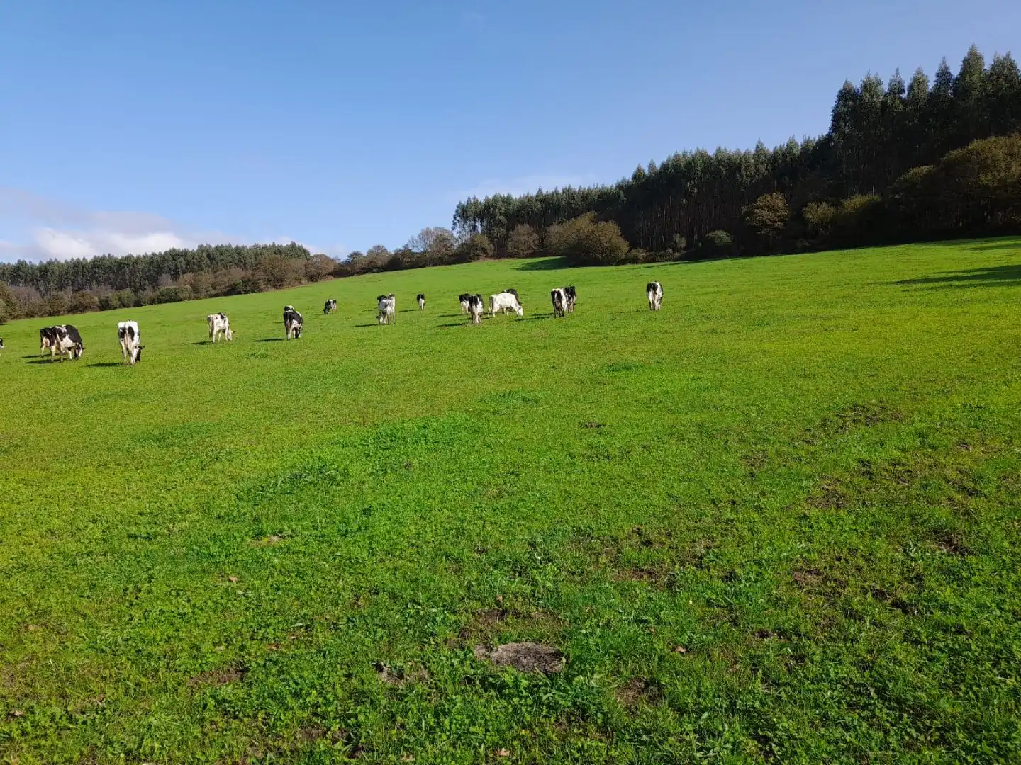 Grundstücke zur Miete in Lugo