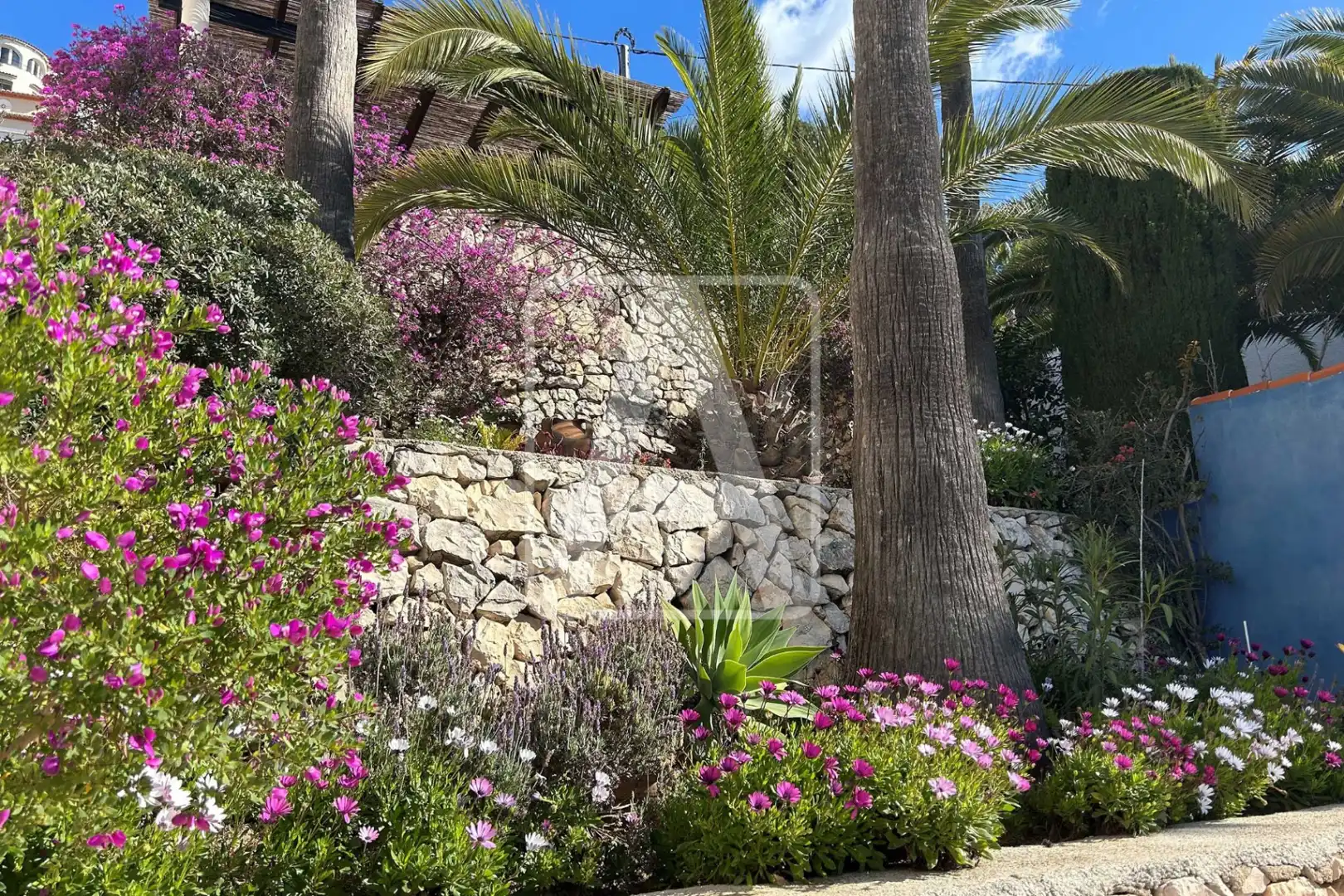 Villa con piscina in vendita a La Viña - Montemar - San Jaime, imagen 45