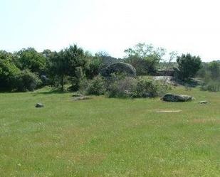 Grundstücke zum verkauf in Santibáñez de Béjar