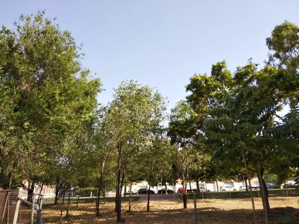 Vista exterior de Piso en venta en Madrid con Parquet y Balcón