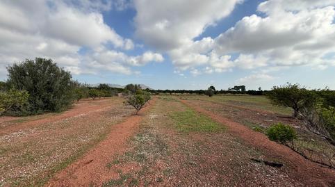 Photo 3 of Land for sale in Polígono 27, 129, El Puig, Valencia