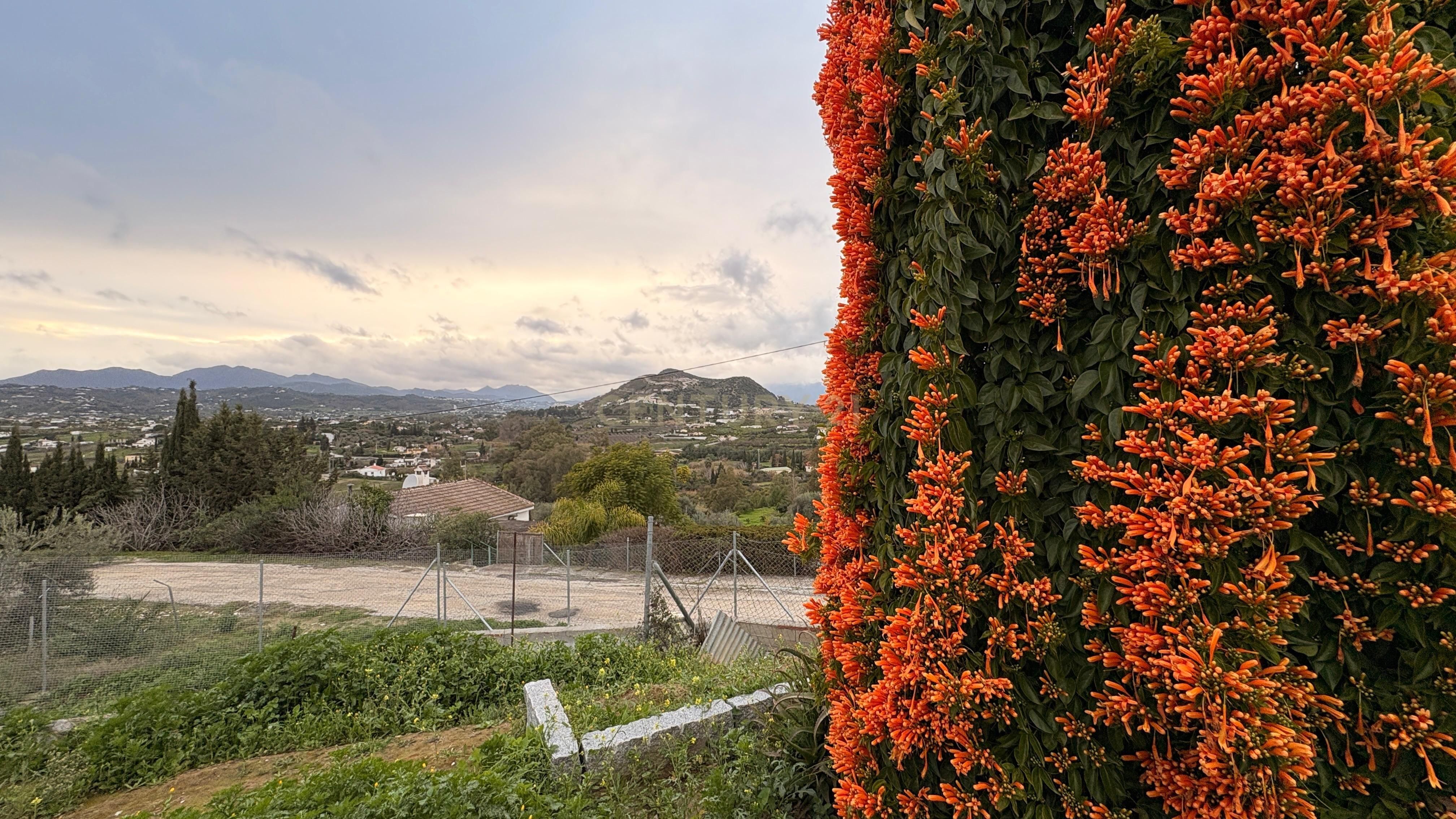 Exterior view of House or chalet for sale in Alhaurín El Grande  with Private garden