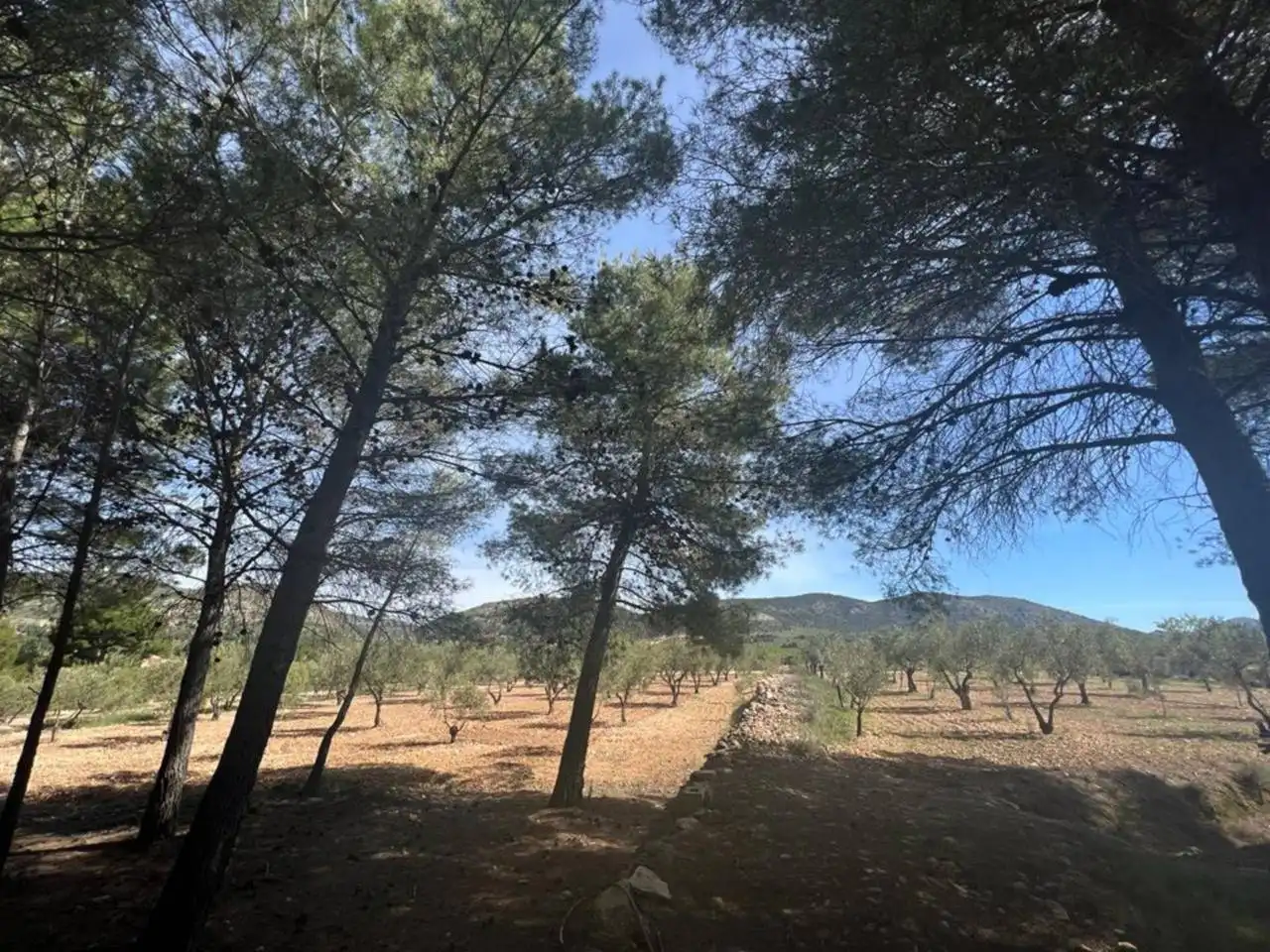 Chalet con jardín en venta en Calle Poligono, imagen 94