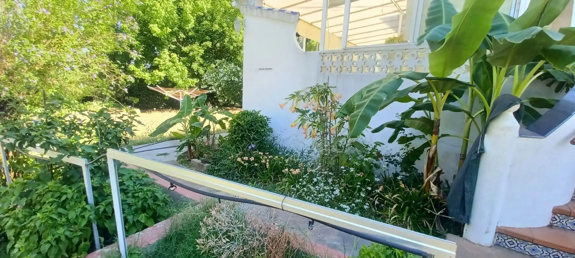 Jardín de Casa o chalet en venta en Castilblanco de los Arroyos con Aire acondicionado, Jardín privado y Terraza