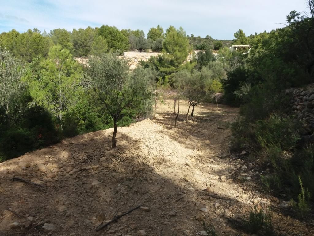 Land for sale in Sierra Engarcerán