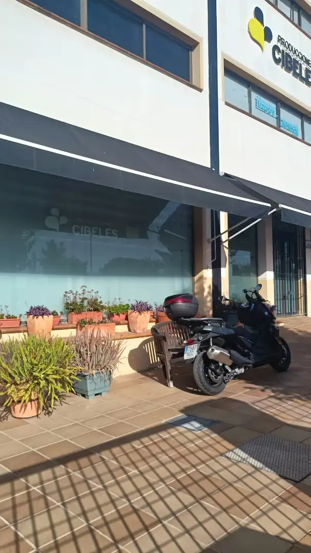 Gewerbefläche zur Miete in Calle Lonja, imagen 15