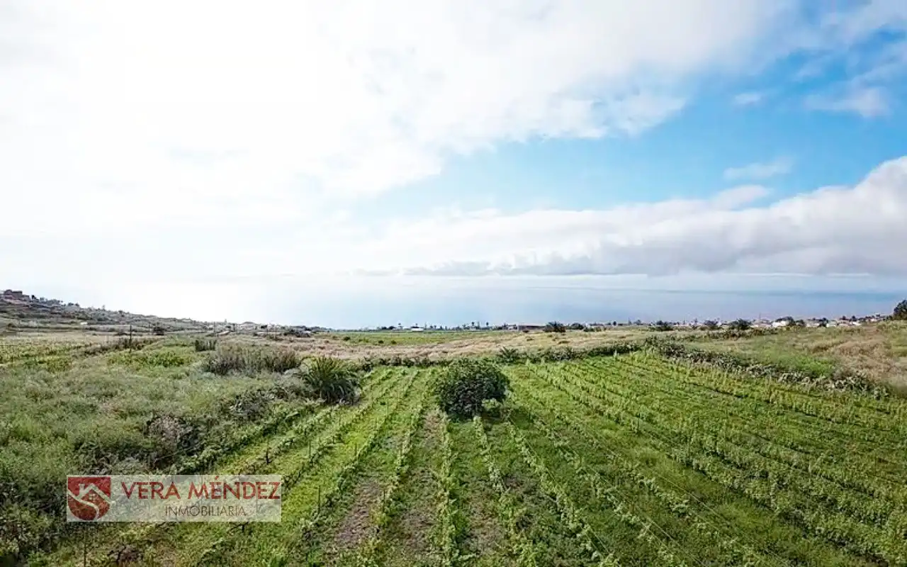 Finca rústica en venta en El Sauzal