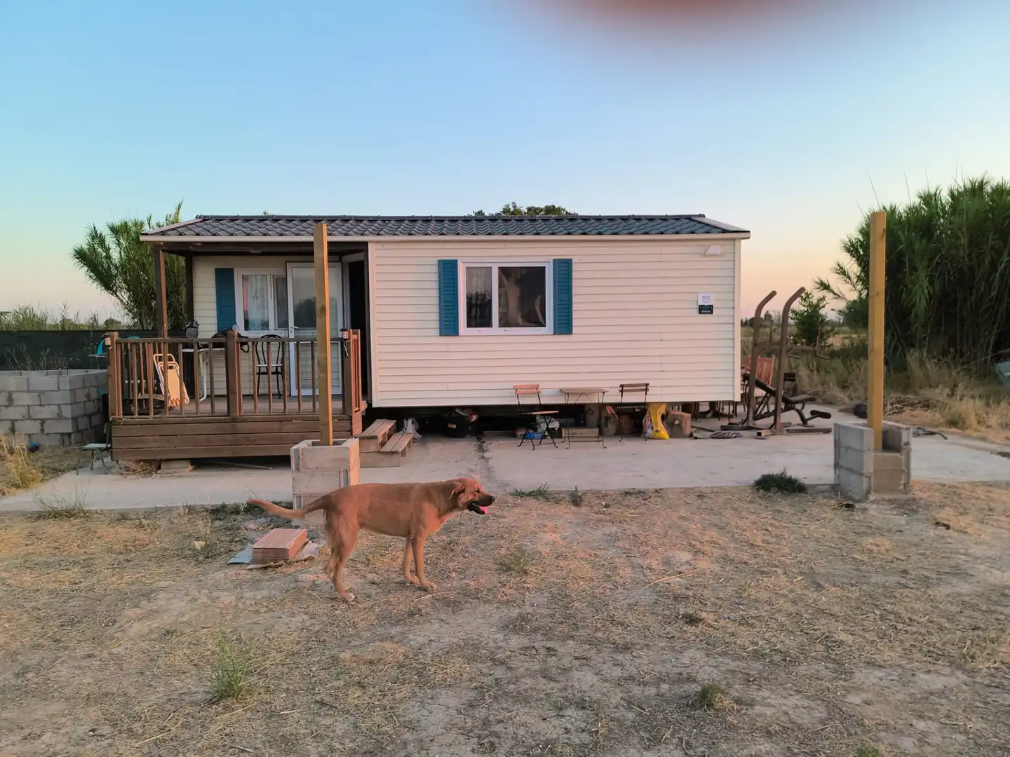 Vista exterior de Finca rústica en venda en Zaragoza amb Jardí privat, Traster i Moblat