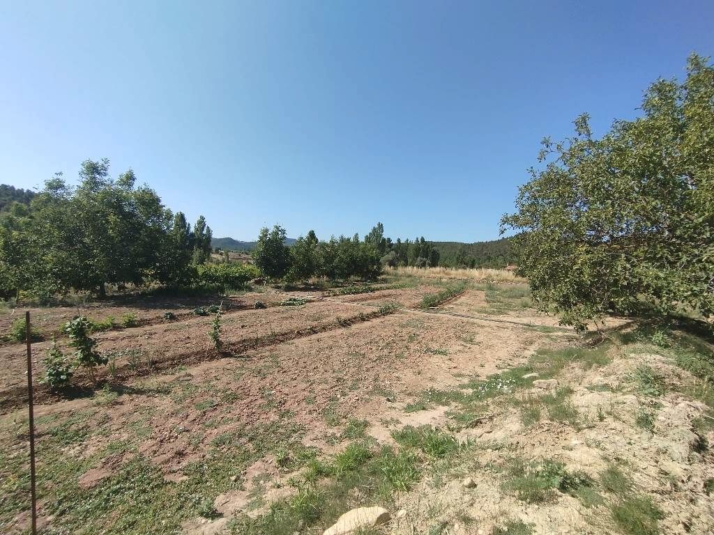 Grundstücke zum verkauf in La Fresneda