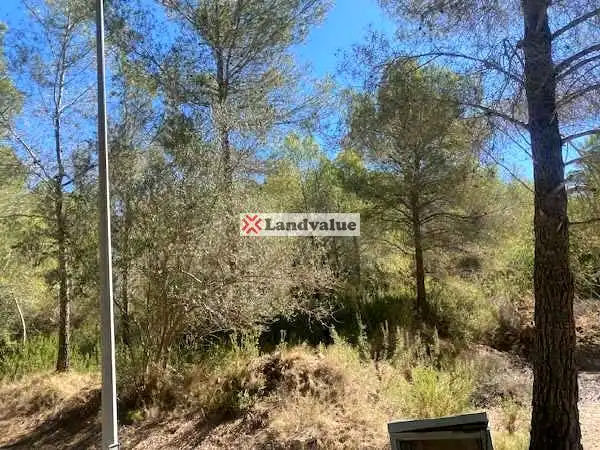 Grundstücke und Bauplätze zum Verkauf in Calle Roure, imagen 5