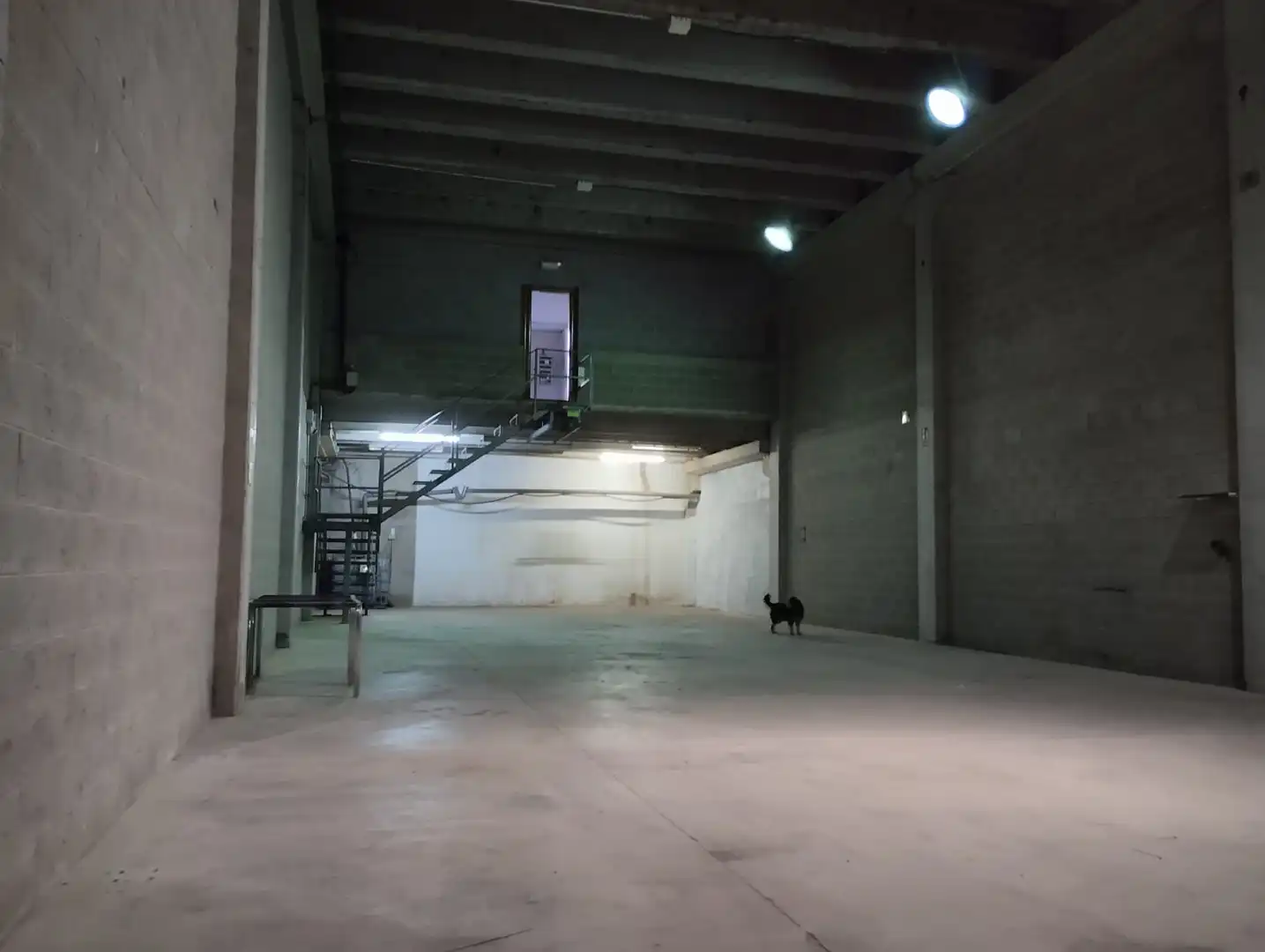 Industriegebäude zur Miete in Valldoreix, imagen 4