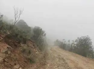 Rustikales Grundstück zum Verkauf in Sc/ Piedra Alegre, imagen 8
