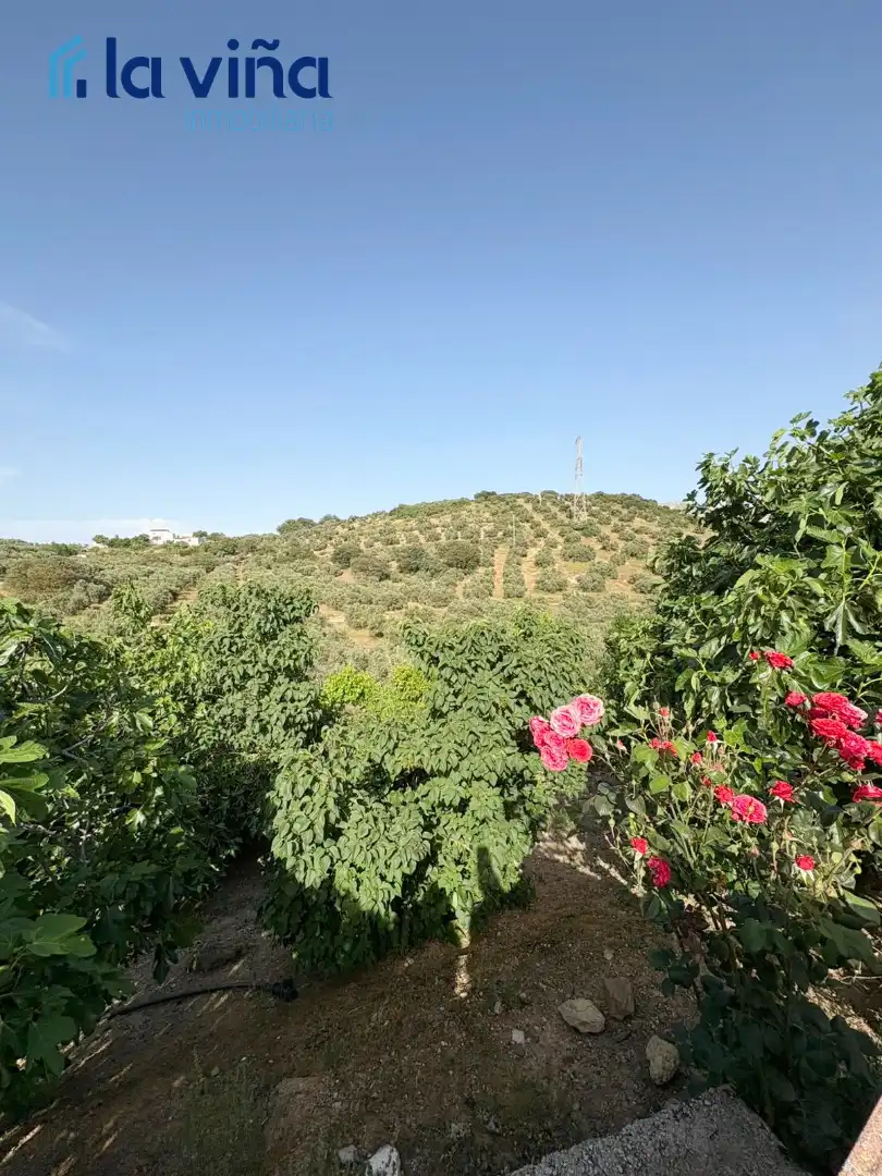 Terreny rústic en venda a Priego de Córdoba, imagen 24