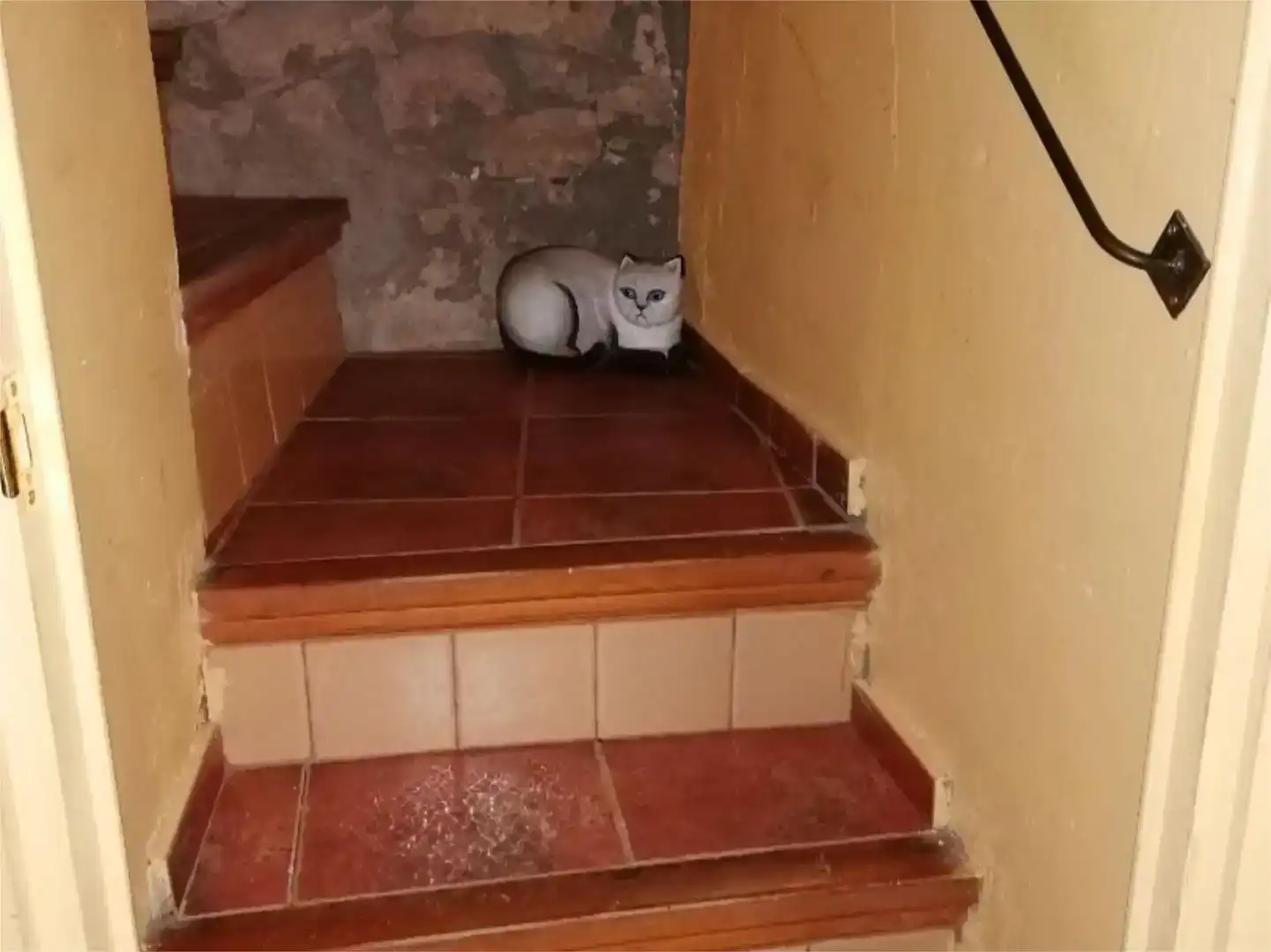 Casa adosada en venta en Arén con Trastero, Amueblado y Horno