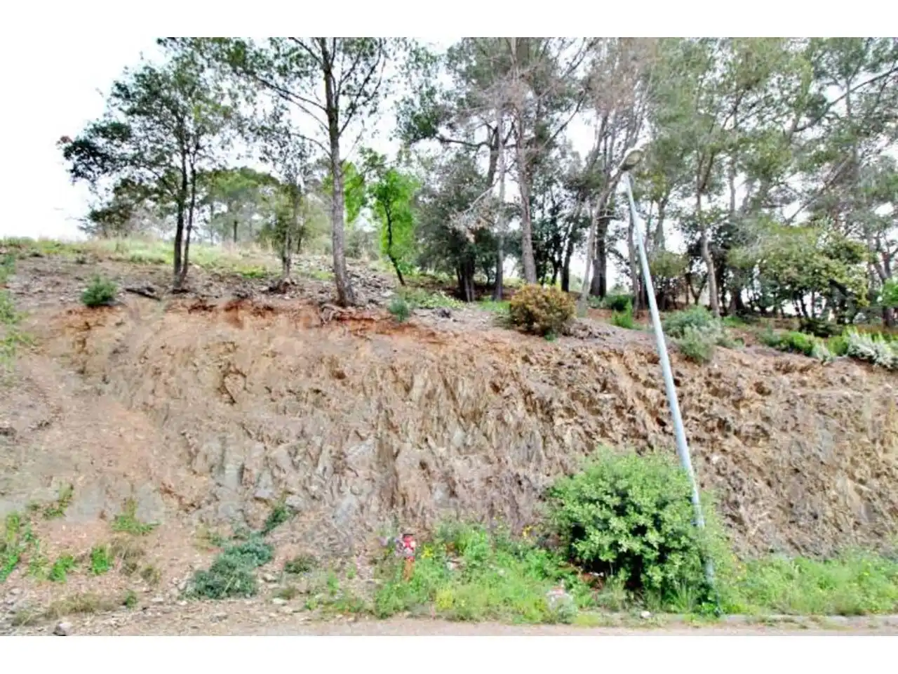 Rural land for sale in Calle Llosa, imagen 11
