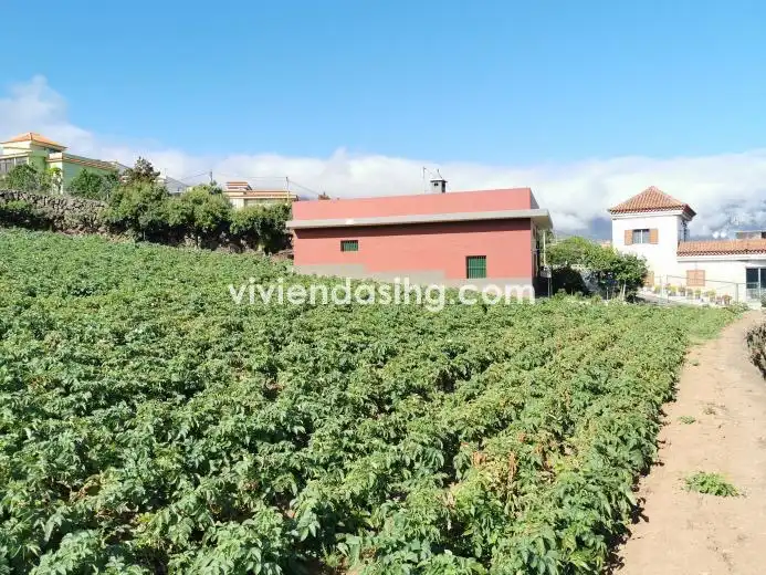 Terreno rustico in vendita a La Perdoma - San Antonio - Benijos, imagen 10