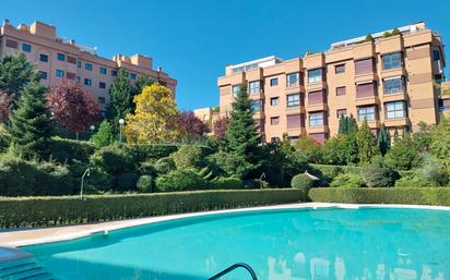 Piscina de Pis de lloguer en  Madrid Capital amb Aire condicionat, Calefacció i Terrassa